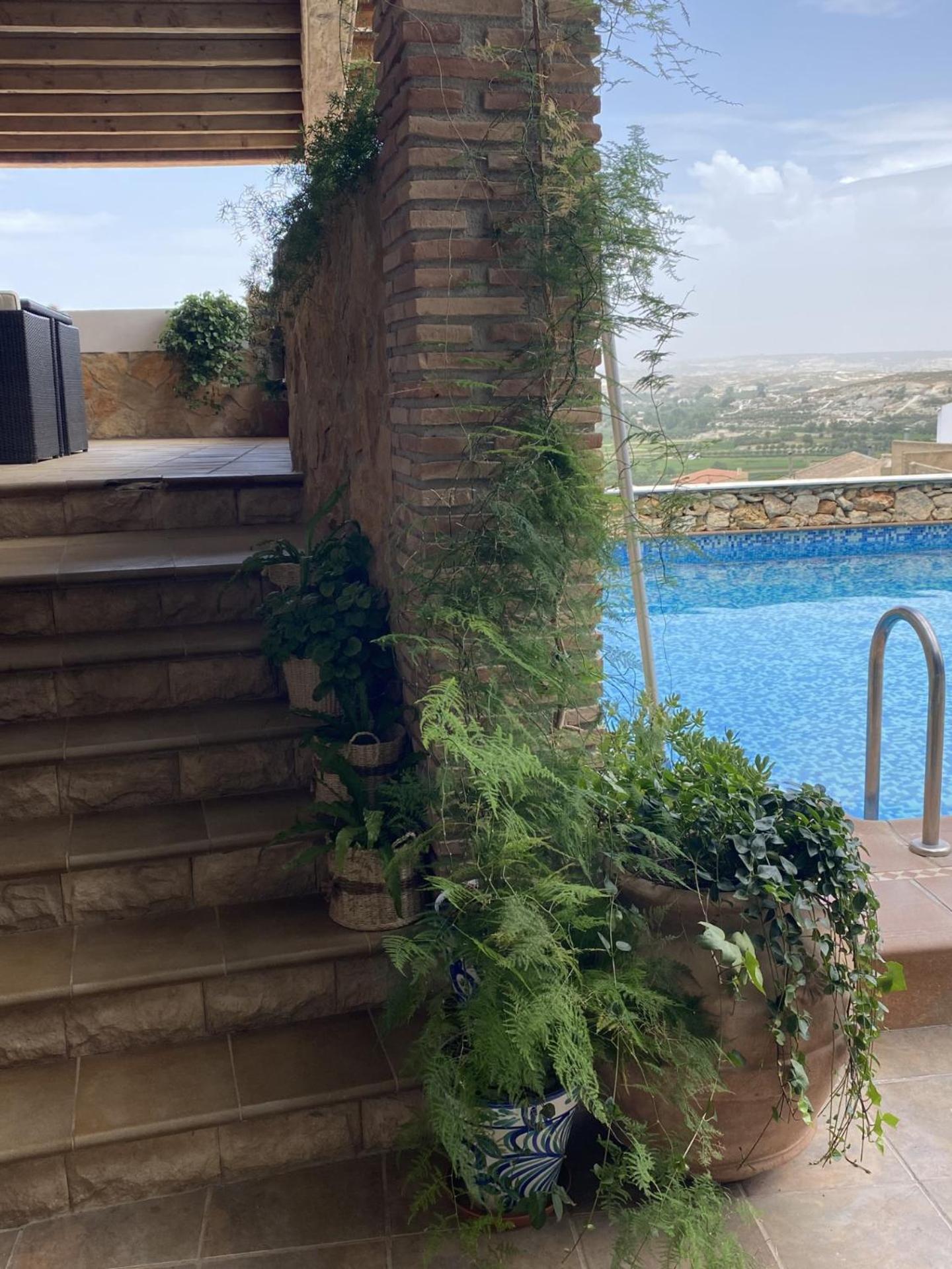 Benamaurel Alhanda Apartahotel מראה חיצוני תמונה
